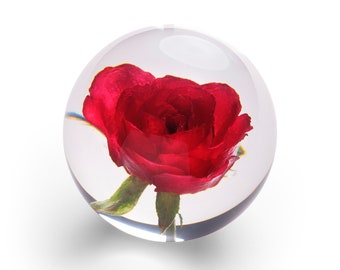 In Flore Rose Paperweight, Red Rose, 8 cm