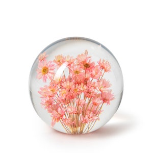 Fermacarte In Flore Fleur, 7 cm, rosa chiaro