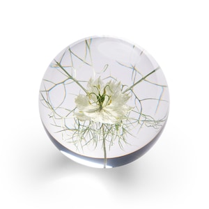 In Flore Flor Paperweight, 8 cm, White