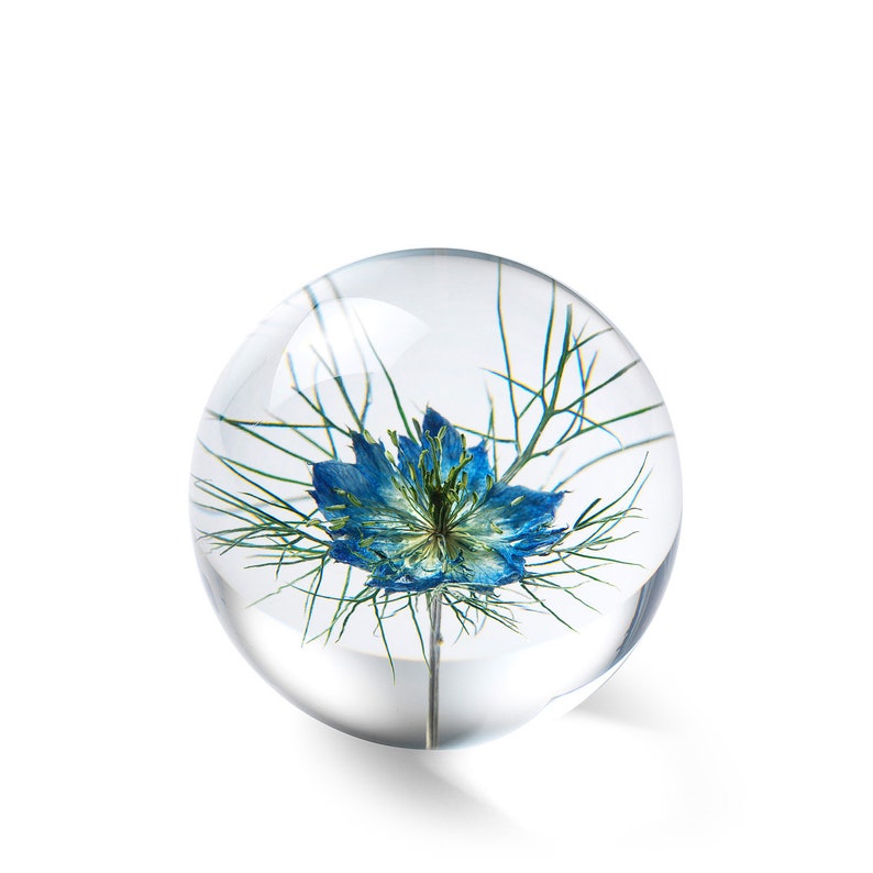 May include: A clear glass paperweight with a blue flower and green stems encased inside. The flower has delicate petals and is centered within the sphere. The paperweight is round and sits on a white surface.