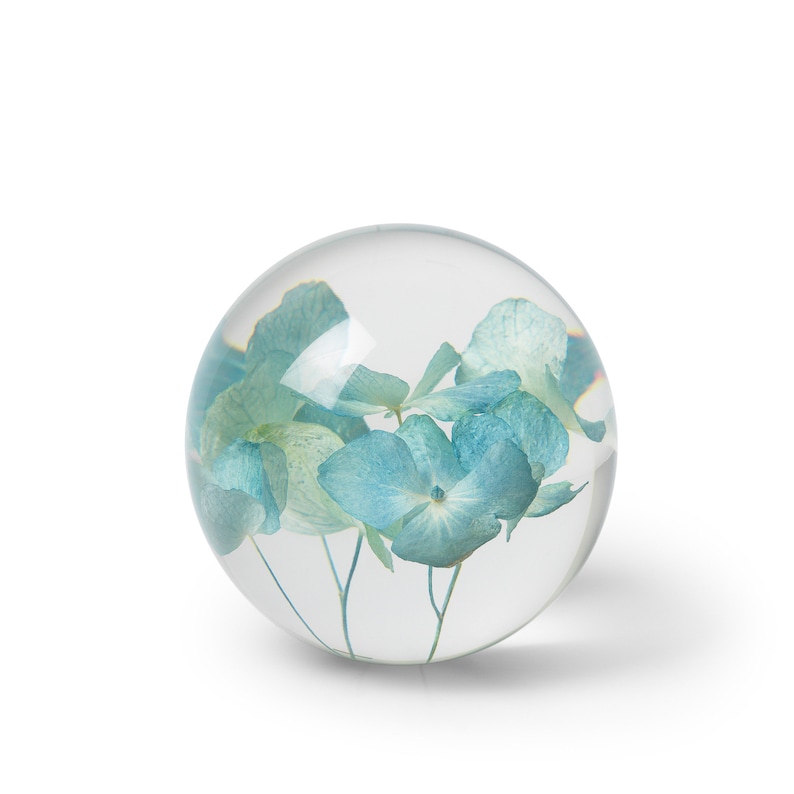 K&ouml;nnte beinhalten: Eine klare Glaskugel mit blauen und gr&uuml;nen Hortensienbl&uuml;ten. Die Blumen sind in der transparenten Kugel konserviert und bilden eine dekorative Darstellung. Die Kugel steht vor einem wei&szlig;en Hintergrund. Durchmesser ca. 8 cm.