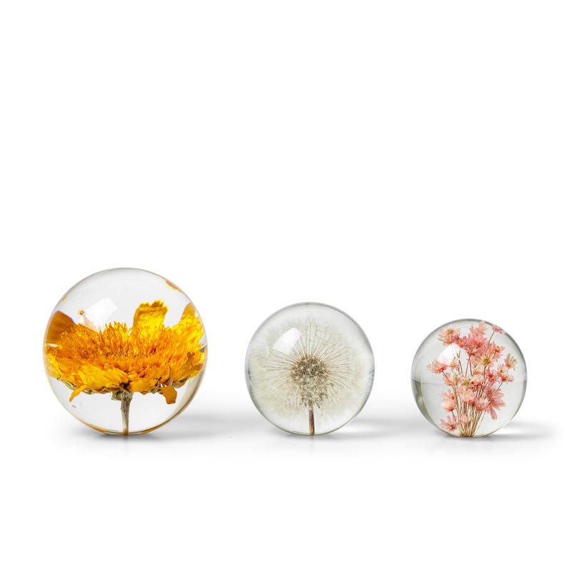 May include: Three clear glass spheres containing preserved flowers. The spheres feature a bright yellow flower, a white dandelion, and small pink flowers. The spheres are displayed against a white background.