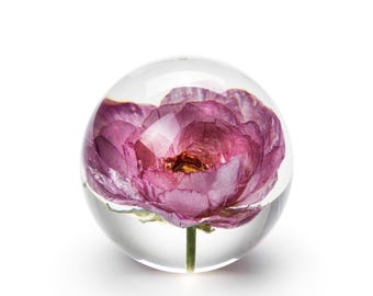 Handmade Peony Rose "Ranunculus" Paperweight, 8 cm, Pink