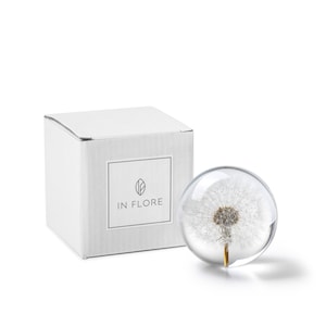 Handmade Dandelion floral paperweight, 8 cm, white image 2