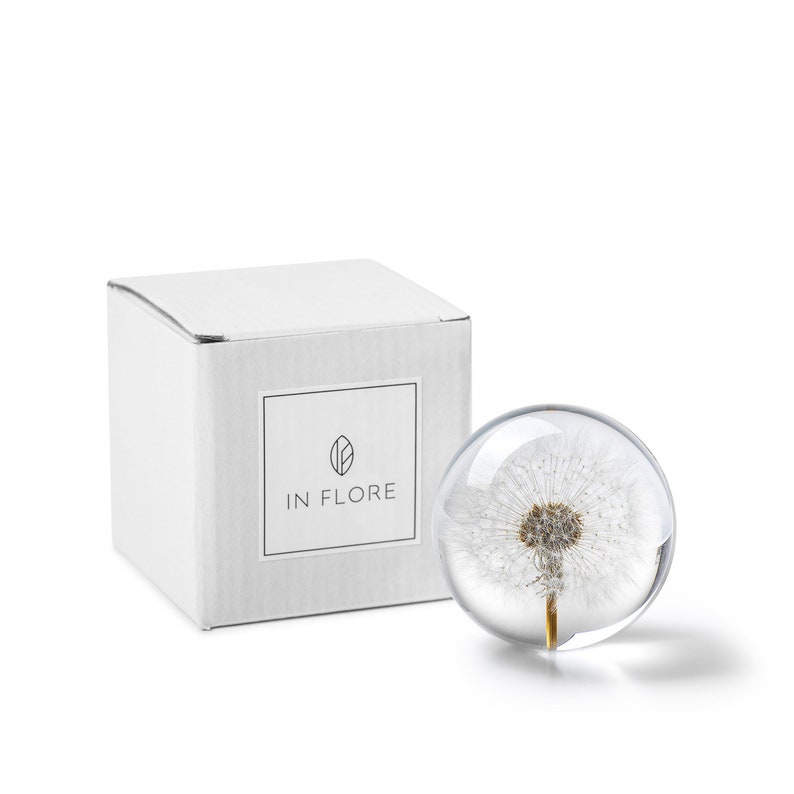 Handmade Dandelion floral paperweight, 8 cm, white image 2
