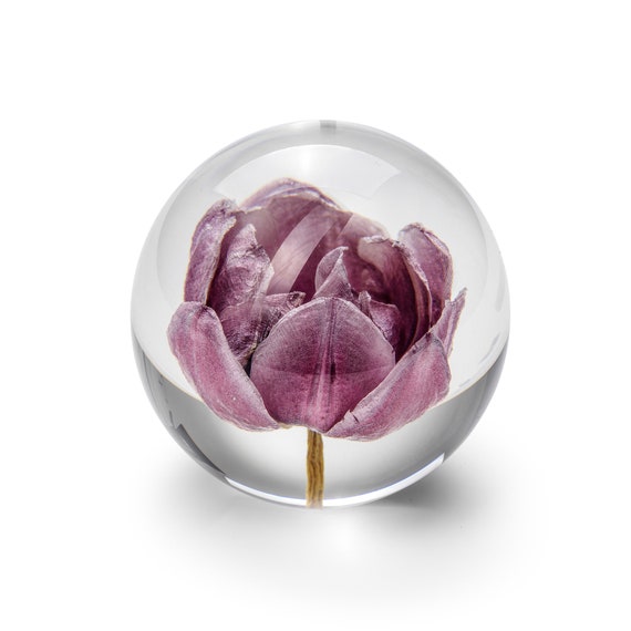 Handmade Tulip flower paperweight, 8 cm, purple