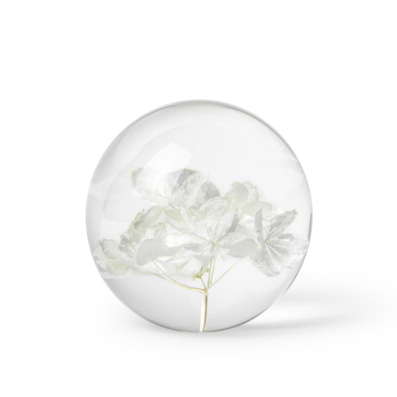 K&ouml;nnte beinhalten: Ein klarer Glas-Briefbeschwerer mit einer wei&szlig;en Blume im Inneren. Die Blume hat zarte, geschichtete Bl&uuml;tenbl&auml;tter und einen d&uuml;nnen, gelben Stiel. Der Briefbeschwerer ist kugelf&ouml;rmig.
