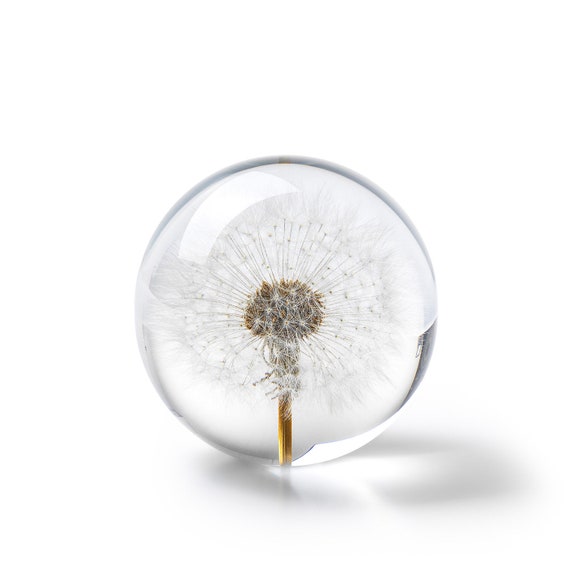 Handmade Dandelion floral paperweight, 8 cm, white