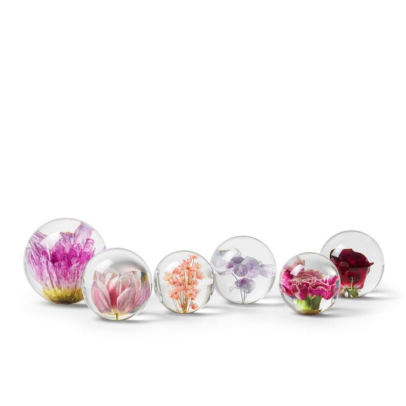 May include: A collection of clear glass spheres, each encapsulating a different colorful flower. The flowers include a vibrant pink chrysanthemum, a delicate pink tulip, and a red rose. The spheres are arranged on a white background.