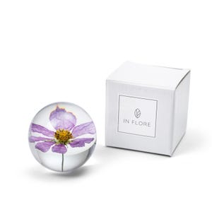 K&ouml;nnte beinhalten: Ein klarer Glasbriefbeschwerer mit einer gepressten lila Blume und gelbem Zentrum. Der kugelf&ouml;rmige Briefbeschwerer steht neben einer wei&szlig;en Schachtel mit dem Text "IN FLORE". Die Blume ist im Glas eingeschlossen und zeigt ihre zarten Bl&uuml;tenbl&auml;tter.
