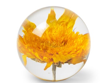 May include: A yellow flower encased in a clear glass sphere. The flower is preserved and appears to be a type of daisy.