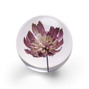 Handgemachter Briefbeschwerer aus Schmuckkörbchen, 8 cm, rosa Blume