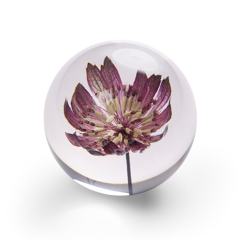 Handgemachter Briefbeschwerer aus Schmuckkörbchen, 8 cm, rosa Blume