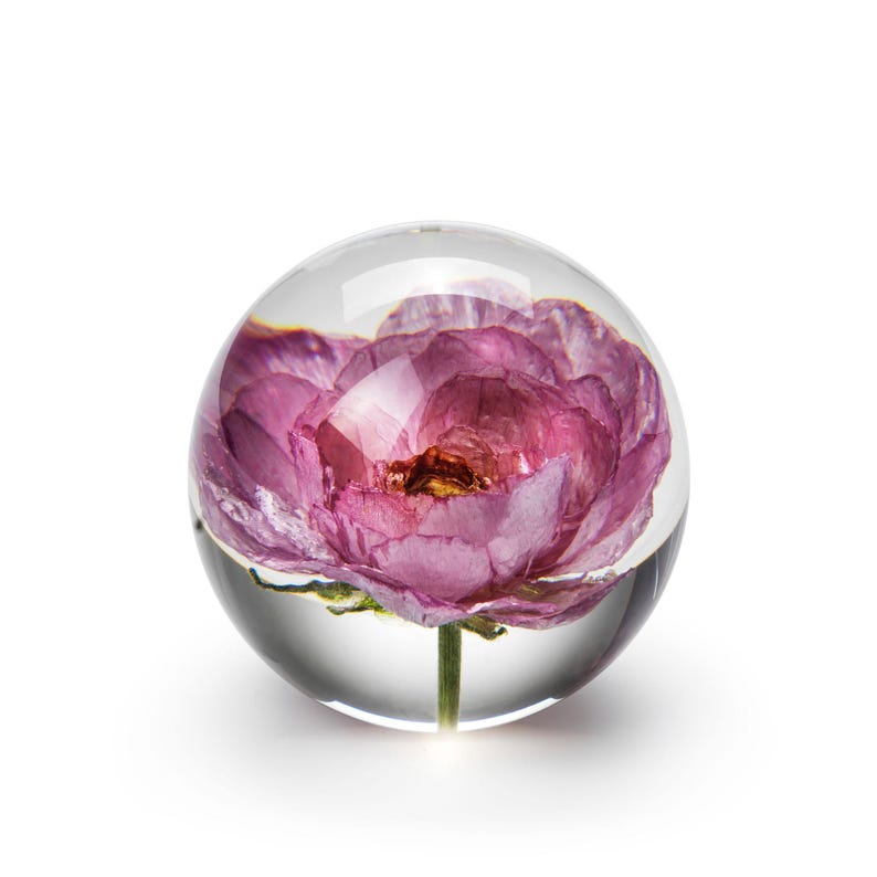 May include: A clear glass paperweight with a vibrant pink flower encased inside. The flower has multiple layers of petals and a green stem. The paperweight is spherical and sits on a white surface.