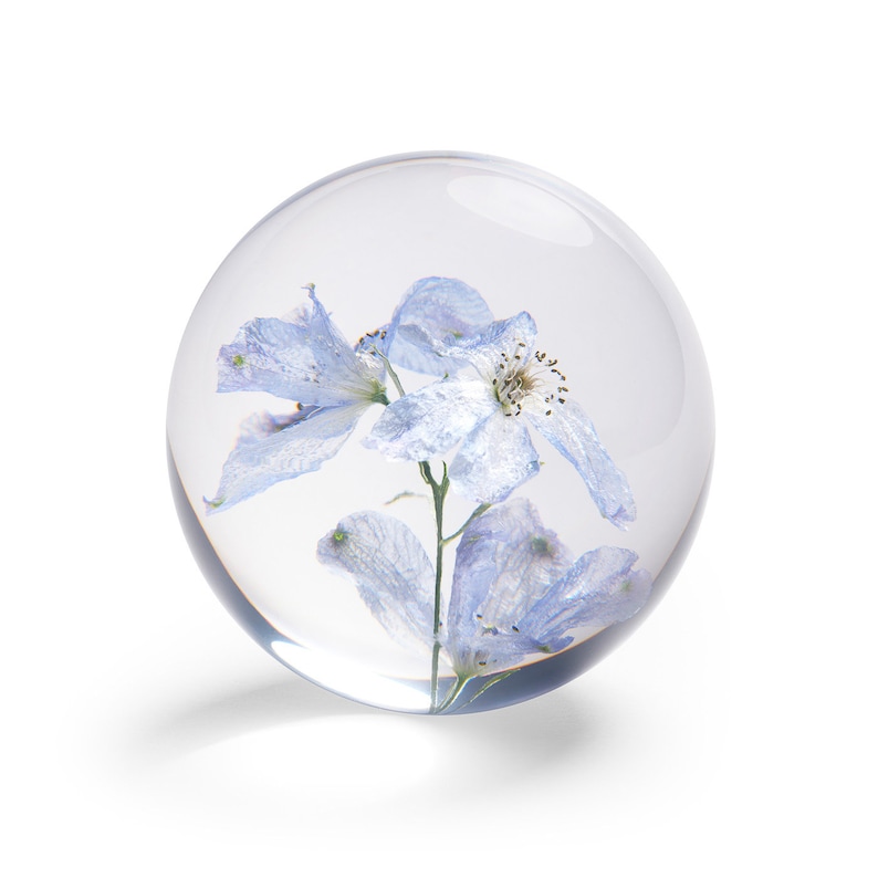 May include: A clear glass sphere encases a delicate, dried blue flower. The flower's petals are a soft, faded blue, and the sphere is perfectly round, creating a unique decorative object.