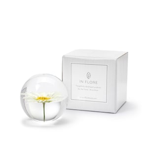 Handmade Daisy Flower Paperweight, 7 cm, White image 2