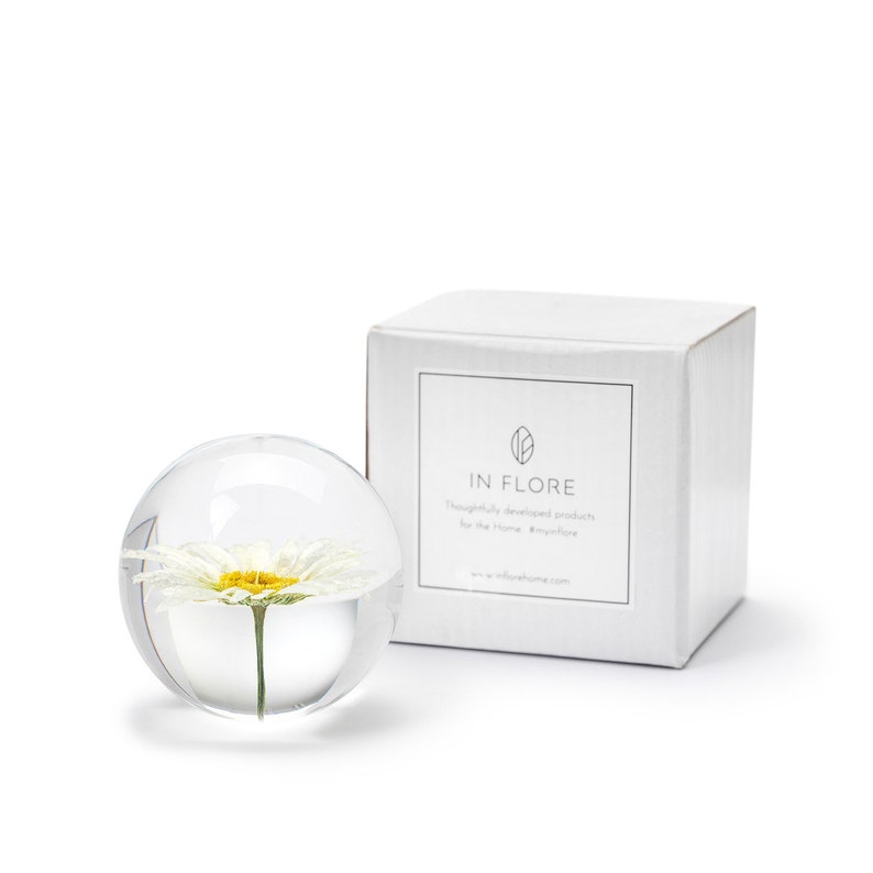 Handmade Daisy Flower Paperweight, 7 cm, White image 2
