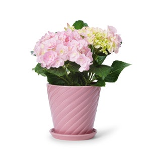 In Flore Sigrid Pot / Panter and Saucer, Pink