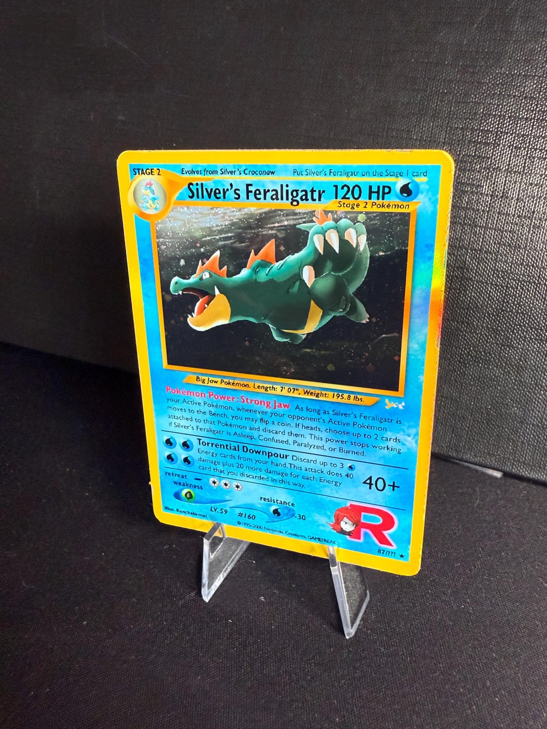 Silver's Feraligatr Gym Heroes Revival Handmade Holo Proxy Card - Etsy