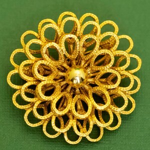 Vintage Floral Abstract Oval Petals Gold Tone Brooch, K32