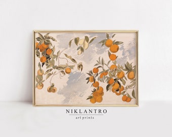 Vintage Citrus Botaniskt Tryck | Apelsinträd Väggkonst | Medelhavsköksinredning