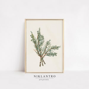 冬の枝のウォールアートプリント | リビングルームのウォールアート | カントリーコテージのクリスマスホリデーデコレーション | ヴィンテージボタニカル | デジタルダウンロード