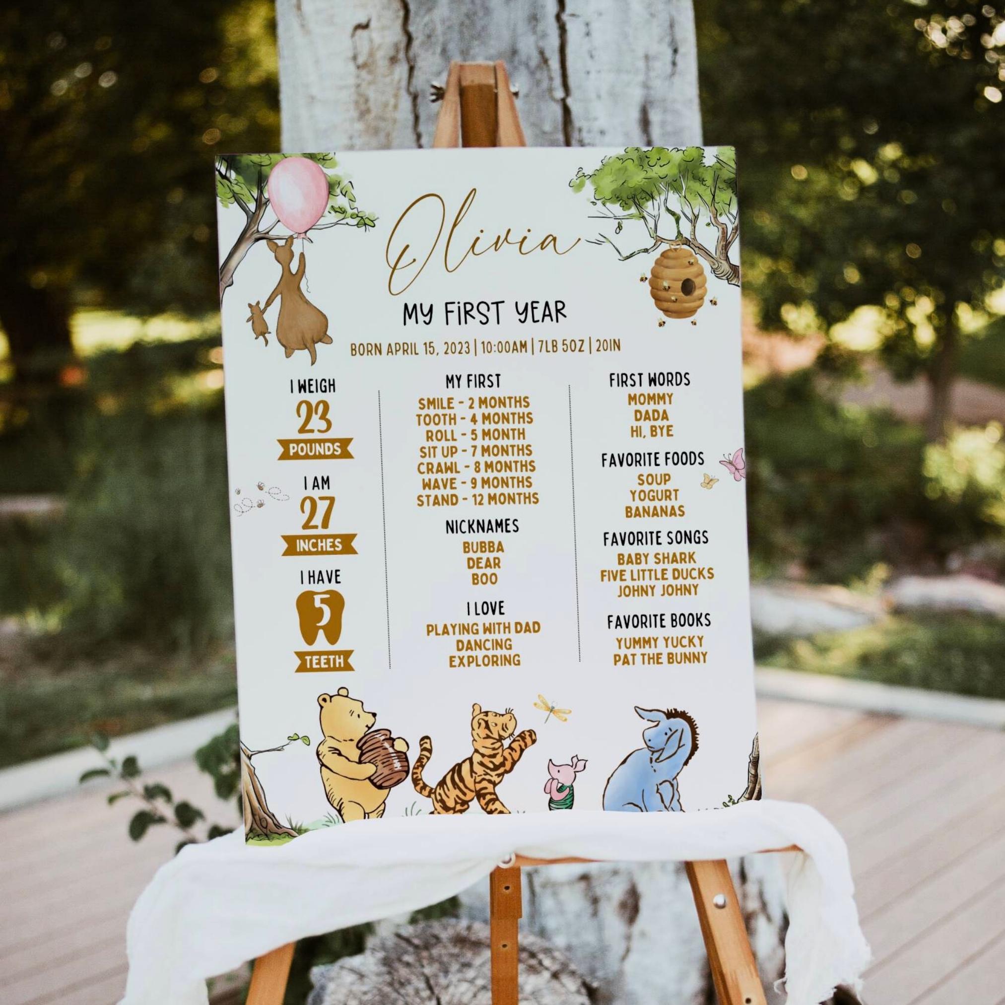 Editable Winnie the Pooh 1st Birthday Milestone Sign, Classic Pooh Bear ...