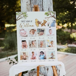 Winnie the Pooh 1st Birthday Photo Poster, Classic Pooh Bear Picture Board, First Birthday Milestone Sign, Editable, Printable, Digital