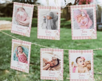 One Silly Goose Monthly Milestone Photo Cards, Pink Bow Goose First Birthday Picture Banner, Baby Girl Photo Banner Decor, Editable Template