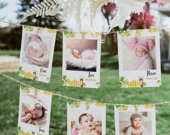 Bee First Birthday Photo Banner, 1st Birthday Photo Banner, Honey Bee Monthly Milestone Photo Cards, Sweet As Can Bee, First Bee Day Party