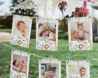 Safari monthly photo banner, Babys first year photos, Milestone banner, Jungle 1st birthday decorations, Editable 12 month banner, Wild One