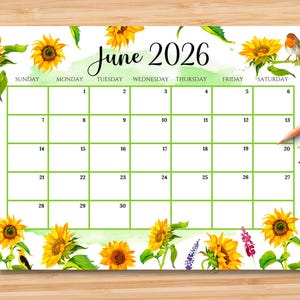 Editable June 2026 Calendar | Monthly Planner Printable PDF | School, Work, Office & Home Organizer | Instant Download