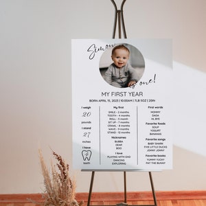 Panneau MODIFIABLE pour le premier anniversaire, affiche moderne pour le premier anniversaire du premier anniversaire, tableau minimaliste pour les photos d'un an pour bébé, modèle sur toile