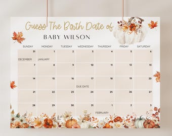 Kleine pompoen baby vervaldatumkalender, herfst bloemen pompoen babyshower voorspellingsspel, herfst babyshower, schat baby's geboortedatum BEWERKBAAR