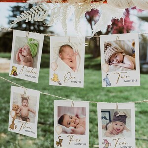 Cartões fotográficos clássicos do marco mensal do Ursinho Pooh, banner fotográfico vintage do primeiro aniversário do Ursinho Pooh, primeiro aniversário de menina e menino, neutro, EDITÁVEL