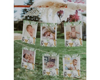 Safari monthly photo banner, Baby first year photos, Milestone banner, Jungle 1st birthday decorations, Editable 12 month banner, Wild One