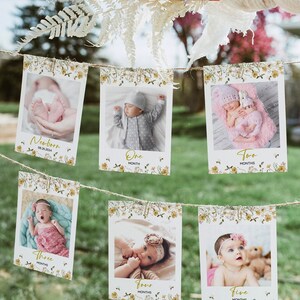 Cartes-photos modifiables d'étape mensuelle d'abeille, bannière d'anniversaire d'abeille de fleurs sauvages, décoration d'anniversaire de bannière de abeille, téléchargement immédiat imprimable de bannière de photo d'abeille