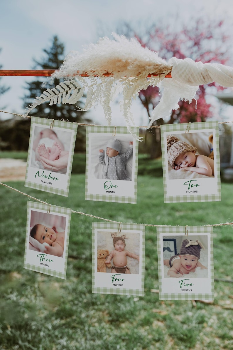 Editable Sage Green Gingham Monthly Milestone Cards, Gender Neutral 1st ...