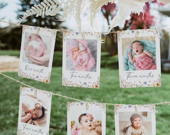 Wildflower First Year Birthday Photo Banner, Wildflower Girls 1st Year Birthday Photos, Floral 1st Year, Printable Monthly Milestone