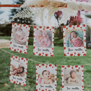 Bewerkbare maandelijkse mijlpaalfotokaarten aardbei, Berry verjaardagsbanner verjaardagsdecoratie, banner kinderstoel afdrukbaar, direct downloaden