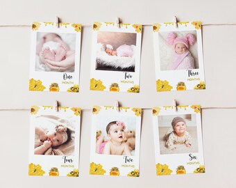 JeVenis 1. Geburtstag Foto Banner Set – Hummel Biene Motive Für 12 Monatsfotos, Inkl. Clips & „Bee One“ Banner