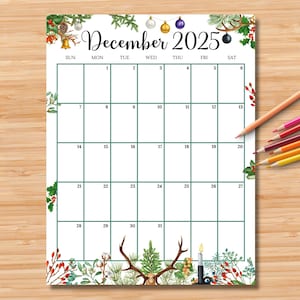 EDITABLE December 2025 Calendar (Vertical/Portrait), Colorful Christmas Planner, Monthly Schedule for Kids, School, Home, Work & Office
