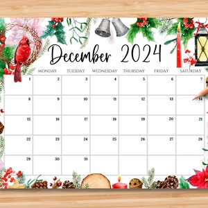 EDITABLE December 2024 Calendar, Gorgeous Colorful Christmas with Bird and Poinsettia, Printable Fillable Calendar Planner, Instant Download