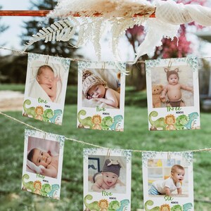 Cartes-photos modifiables d'étape mensuelle de dinosaure, décoration d'anniversaire de bannière d'anniversaire de dinosaure, photos de première année imprimables, téléchargement immédiat