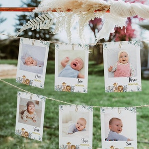 Safari monthly photo banner, Babys first year photos, Milestone banner, Jungle 1st birthday decorations, Editable 12 month banner, Wild One
