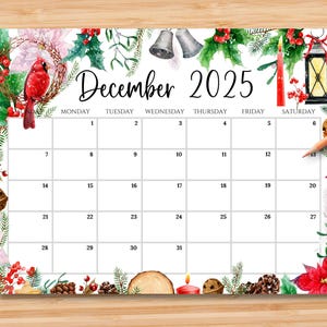 EDITABLE December 2025 Calendar, Gorgeous Colorful Christmas with Bird and Poinsettia, Printable Monthly Calendar for Kids School Home Work