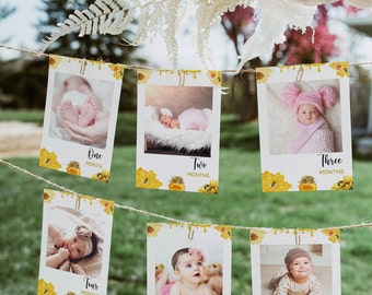 Bee First Birthday Photo Banner, 1st Birthday Photo Banner, Honey Bee Monthly Milestone Photo Cards, Sweet As Can Bee, First Bee Day Party