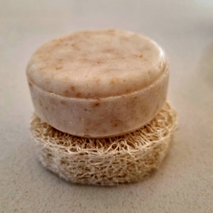 Ph Balanced Shampoo Bar with Argan Oil Provitamin B5 SLS Free image 5