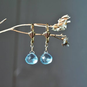 High quality blue topaz pendant earrings