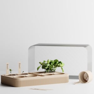 Puede incluir: Un kit de jardinería de interior de plástico beige con una cúpula de plástico transparente, que incluye una pequeña planta de albahaca que crece en uno de los compartimentos. El kit tiene etiquetas de madera que dicen "Albahaca" y una pequeña regadera beige.